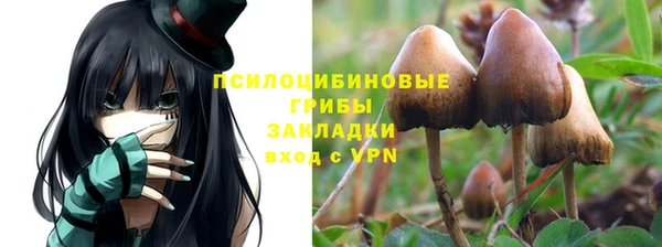 метадон Пересвет