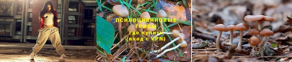 экстази Баксан