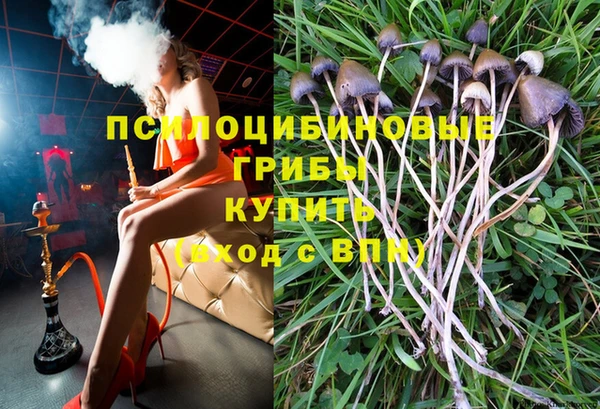 Альфа ПВП Белокуриха